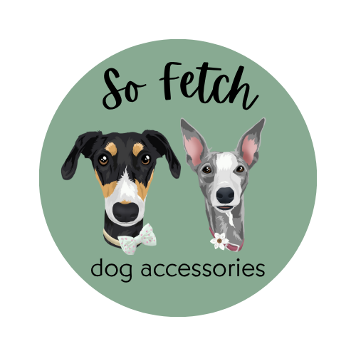 So Fetch dog accessories