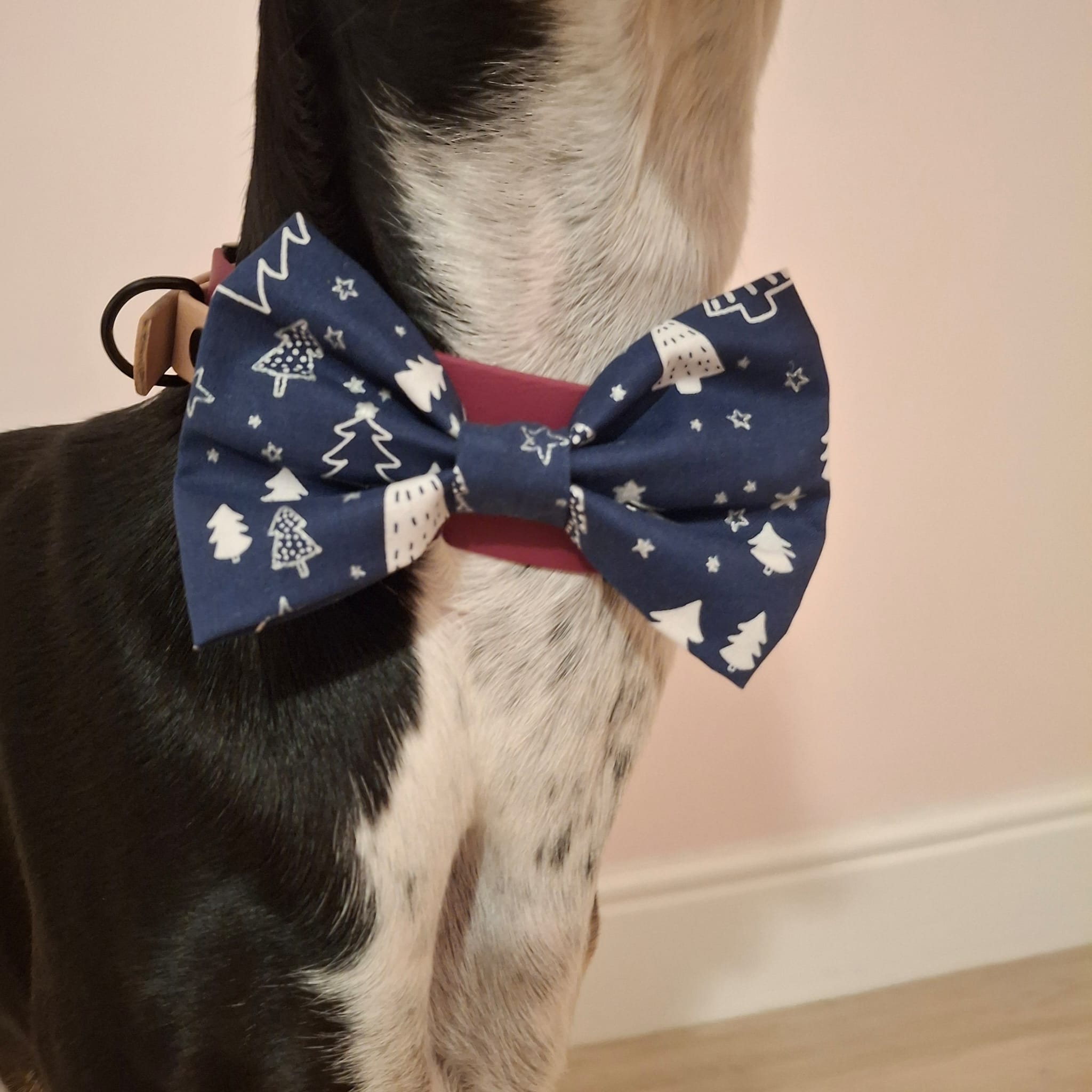 Midnight Forest Wide Bow