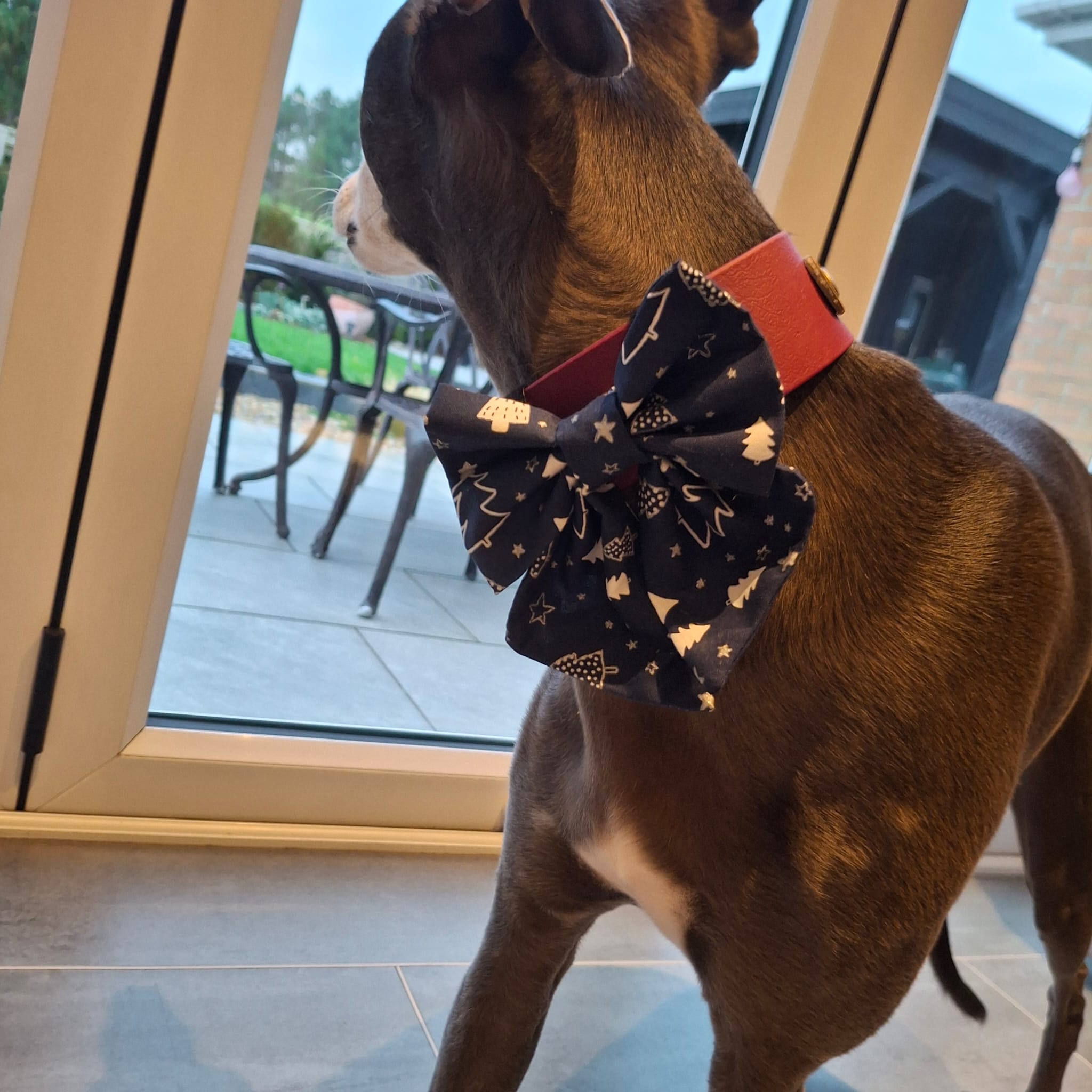 Midnight Forest Sailor Bow